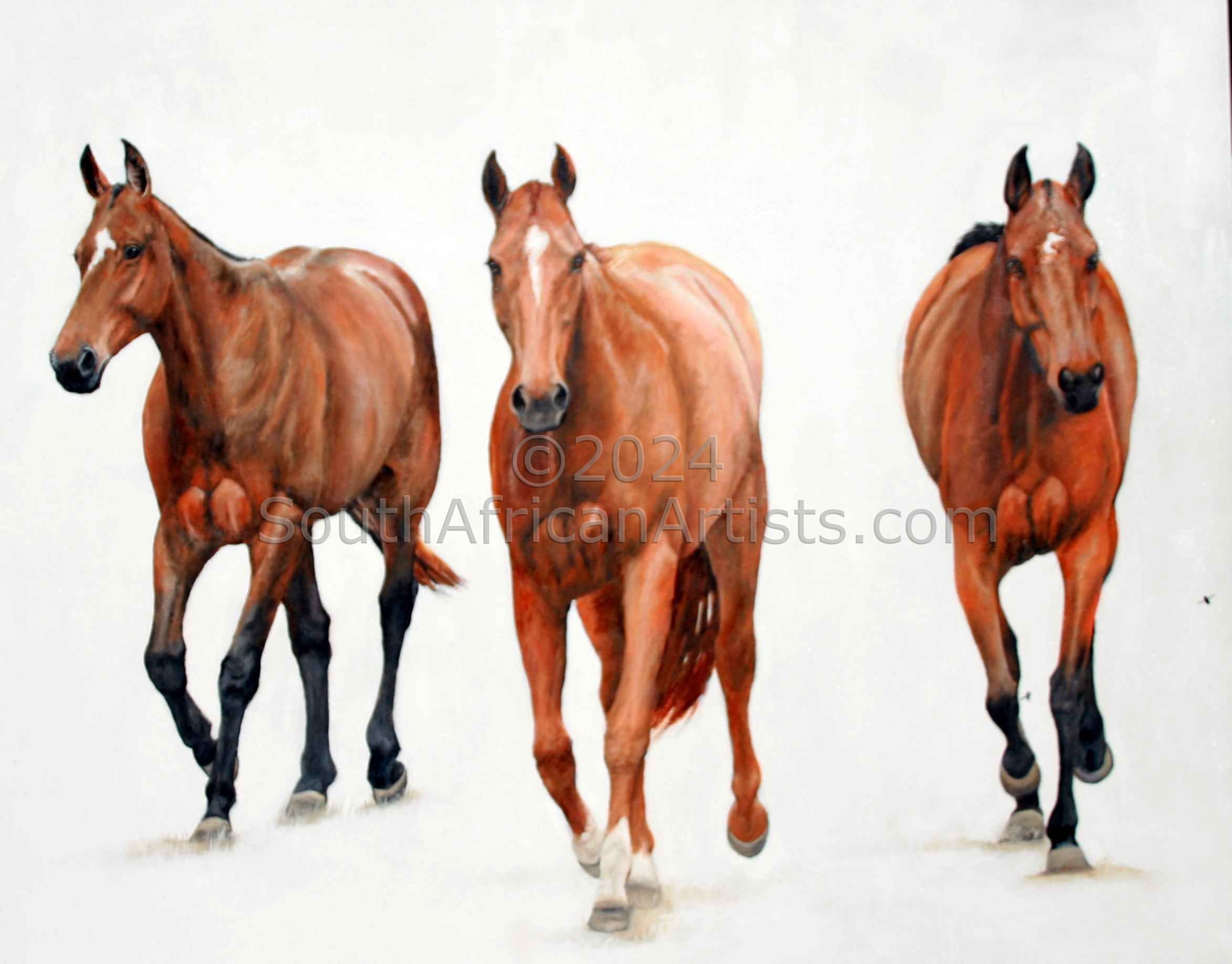3 Polo Ponies