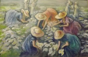 "Flower Girls From Namakwaland"