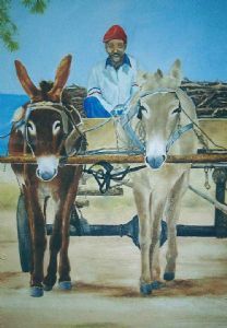 "Donkiekar Donkey Cart Karoo"