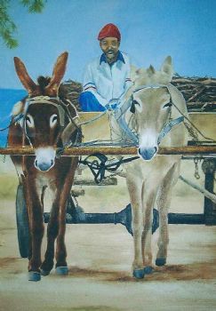 "Donkiekar Donkey Cart Karoo"