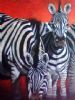 "Zebras"