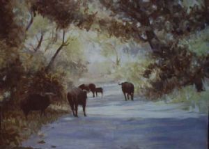 "Buffalo in the Timbavati"