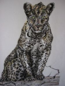 "Tinted leopard II"