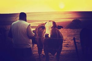 "Moment Between Man and Beast"