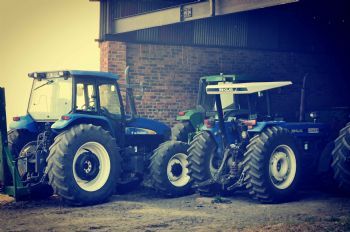 "Amersfoort Farm morning1"