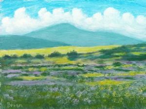 "Western Cape Landscape"