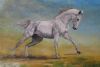 "White Horse in the Desert"