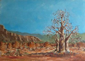 "Baobab Tree Limpopo South Africa"