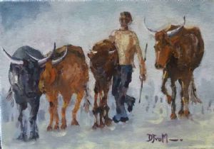 "Herding Nguni Catle"