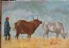 "Nguni Cattle Grazing"