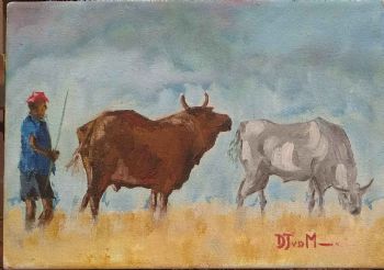 "Nguni Cattle Grazing"