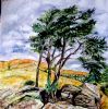 "South African Landscape"