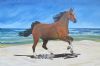 "Horse on the Beach"