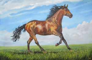 "Brown Horse Running in a Field"