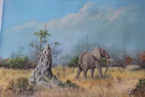 "Elephant Kruger N.P."
