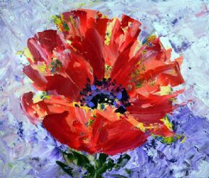 "Poppy in Fields of Lavender"