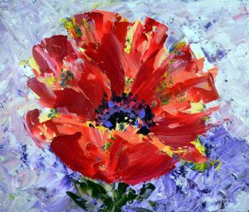 "Poppy in Fields of Lavender"