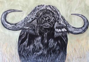 "African Buffalo Bull"