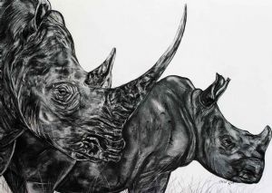"White Rhinos"