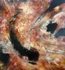 "Abstract 45"