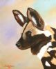 "African Wild Dog"