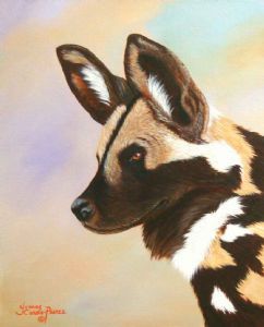 "African Wild Dog"