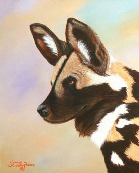 "African Wild Dog"