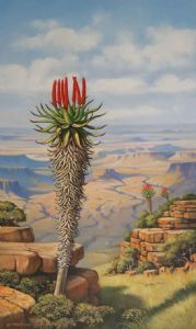 "Aloe with Karoo Vista"
