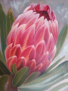 "Protea"