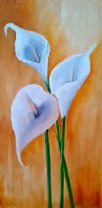 "Arum Lilly's"