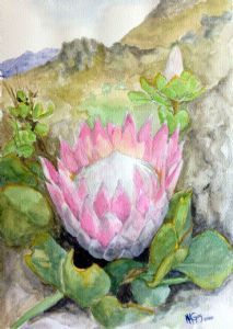 "Protea on Hillside"