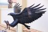 "Black Eagle "