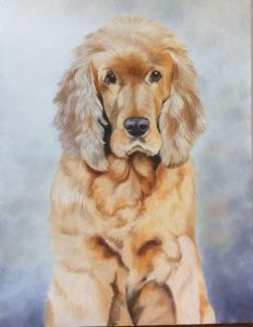 "Animal Portrait"