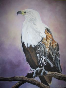 "Fish Eagle"