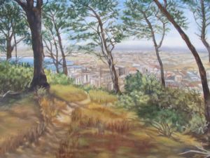 "From Signal Hill"
