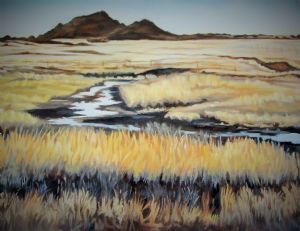 "Karoo Grasslands"
