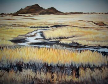 "Karoo Grasslands"