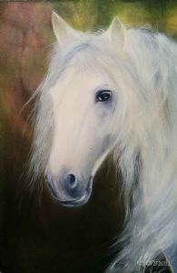 "Andalusian Horse"