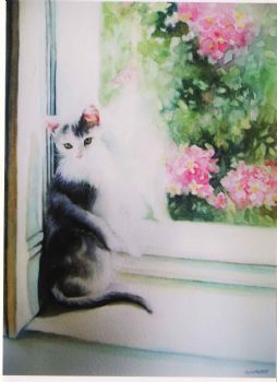 "Cat In Window"