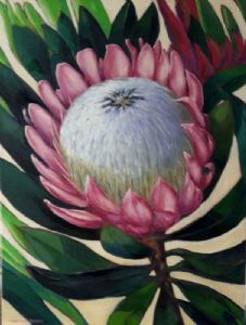 "King Protea"