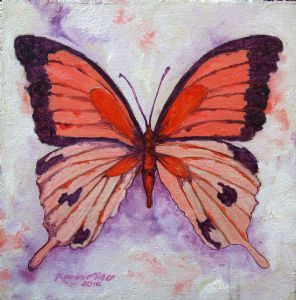 "Butterfly Coral and Magenta"