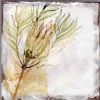 "Fynbos I"