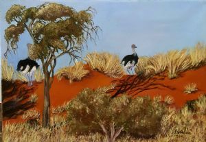 "Ostritches in Kalahari on dunes"