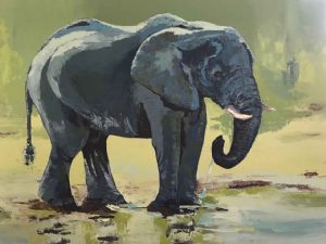 "Elephants 1"