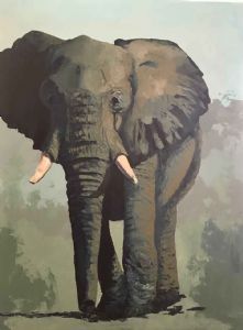 "Elephants 3"