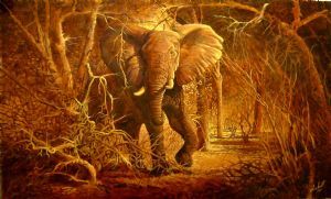 "African Elephant Challenger"
