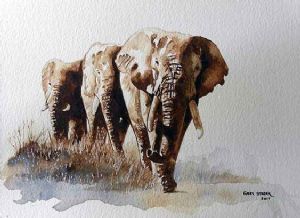 "Wc Elephants"