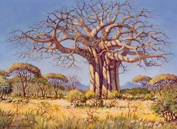 "Baobab Tree"