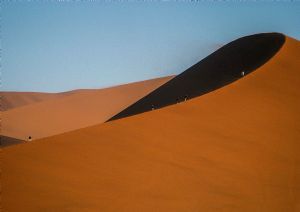 "Dune Strollers"