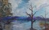 "After the Storm"